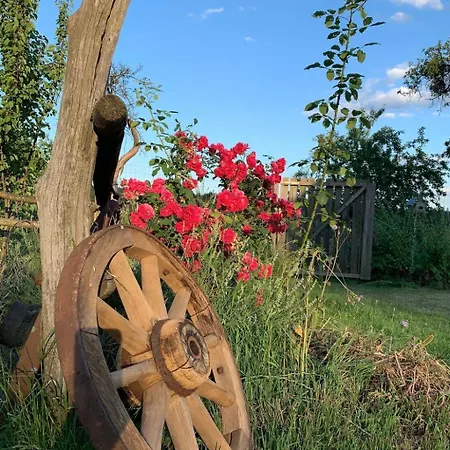 Kellerstoeckl Am Veganen Bio-lebenshof - Varm - The Vegan Farm By Interhome Casa vacanze *