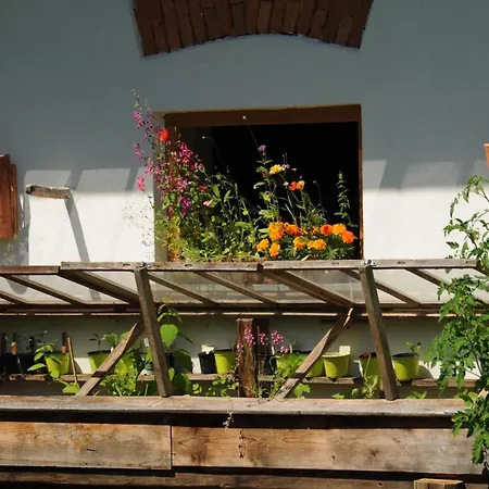 Kellerstoeckl Am Veganen Bio-lebenshof - Varm - The Vegan Farm By Interhome Sankt Martin im Sulmtal