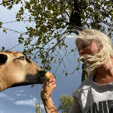 Kellerstoeckl Am Veganen Bio-lebenshof - Varm - The Vegan Farm By Interhome Casa vacanze *