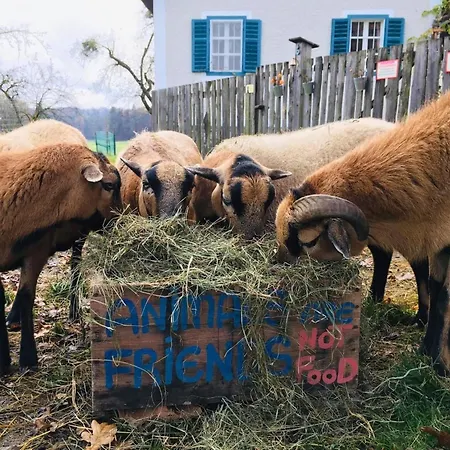 Casa vacanze Kellerstoeckl Am Veganen Bio-lebenshof - Varm - The Vegan Farm By Interhome *